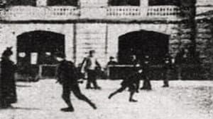 Ślizgawka w Łazienkach — foto 1