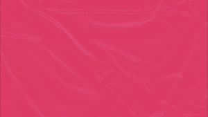 This American Wife — foto 1
