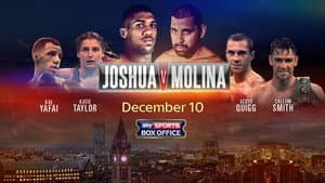 Anthony Joshua vs. Eric Molina — foto 2