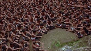 Baraka — foto 3