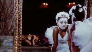 Flight of the Swan — foto 1