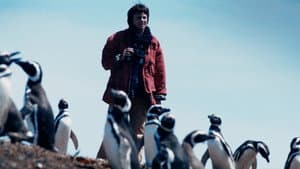 Mi Amigo El Pingüino — foto 10