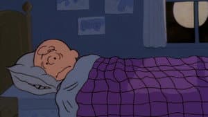 Snoopy, Come Home — foto 7