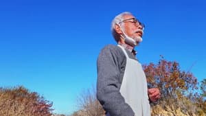 宮﨑駿と青サギと… ～「君たちはどう生きるか」への道～ — foto 6