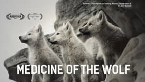 Medicine of the Wolf — foto 1