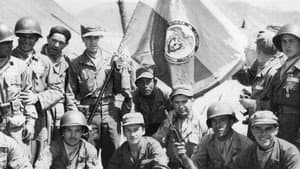 Corea: Veteranos de una guerra sin canciones — foto 1