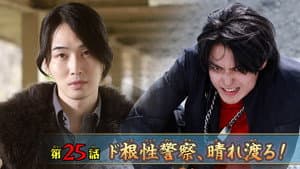 Episodio 25