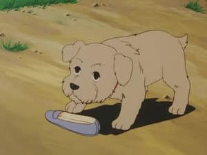 Episodio 6