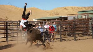 Jackass por Siempre — foto 7
