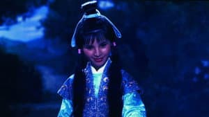 天龍八部 — foto 8