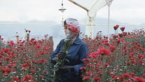 Amor, mujeres y flores — foto 1