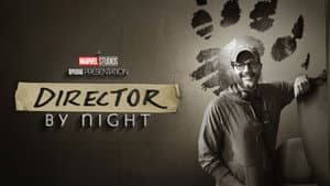 Director por la noche — foto 8