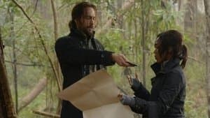 Episodio 12