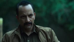 Sector 36 — foto 12