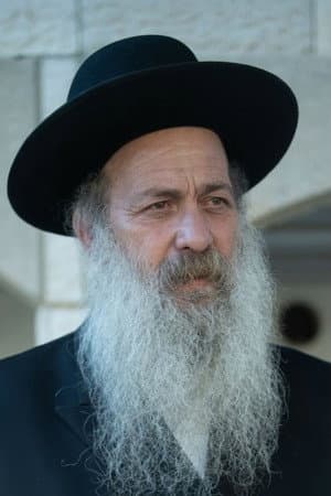 שולי רנד