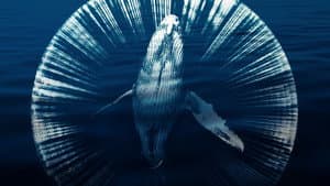 Fathom: Descifrando las profundidades — foto 4