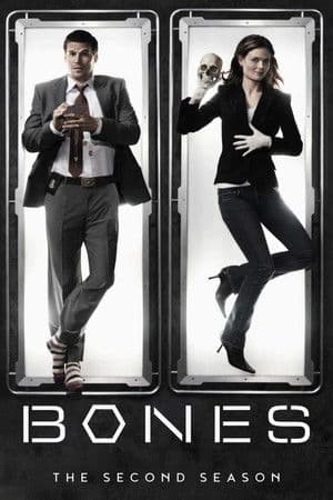 Temporada 2