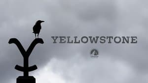 Yellowstone — foto 9
