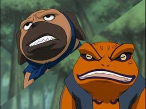 El manual ninja de Naruto