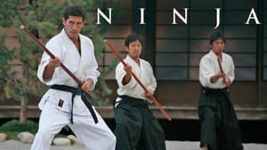 Ninja: El guerrero silencioso — foto 9