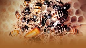 Secrets of Life — foto 4