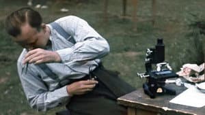 Les junkies d'Adolf Hitler — foto 3