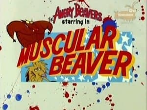 Castor Musculoso