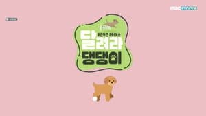 달려라 댕댕이 — foto 1