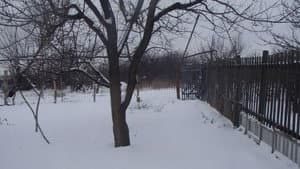 Ма — foto 2