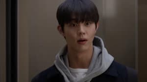 김치 — foto 1