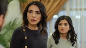 Episodio 41