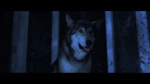 Lycan — foto 3