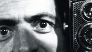 L'amorosa menzogna — foto 1
