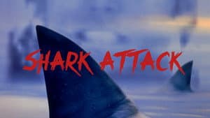 Shark Attack — foto 7