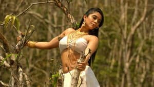 నక్షత్రం — foto 5