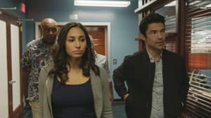 Episodio 7