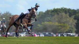 Polo — foto 3