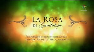 La Rosa de Guadalupe — foto 1