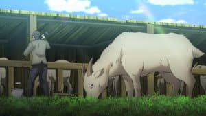 Episodio 7