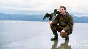 The Cormorant — foto 2