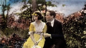 The Country Flapper — foto 1