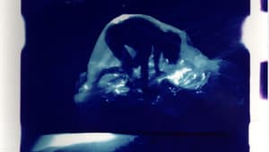 Marasmus — foto 1