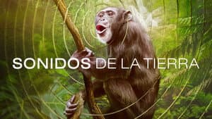Sonidos de la Tierra — foto 6