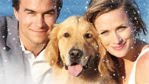 A Golden Christmas 3 — foto 1
