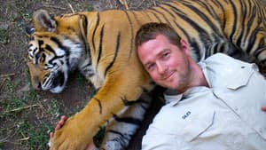 Tigers About the House — foto 1