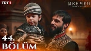 Episodio 29