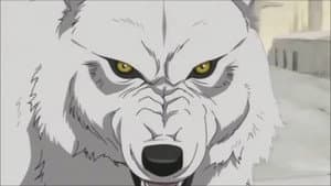 WOLF'S RAIN — foto 8