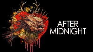 After Midnight — foto 8