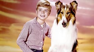 Lassie: The New Beginning — foto 4