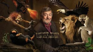 Animales Fantásticos: Una Historia Natural — foto 5